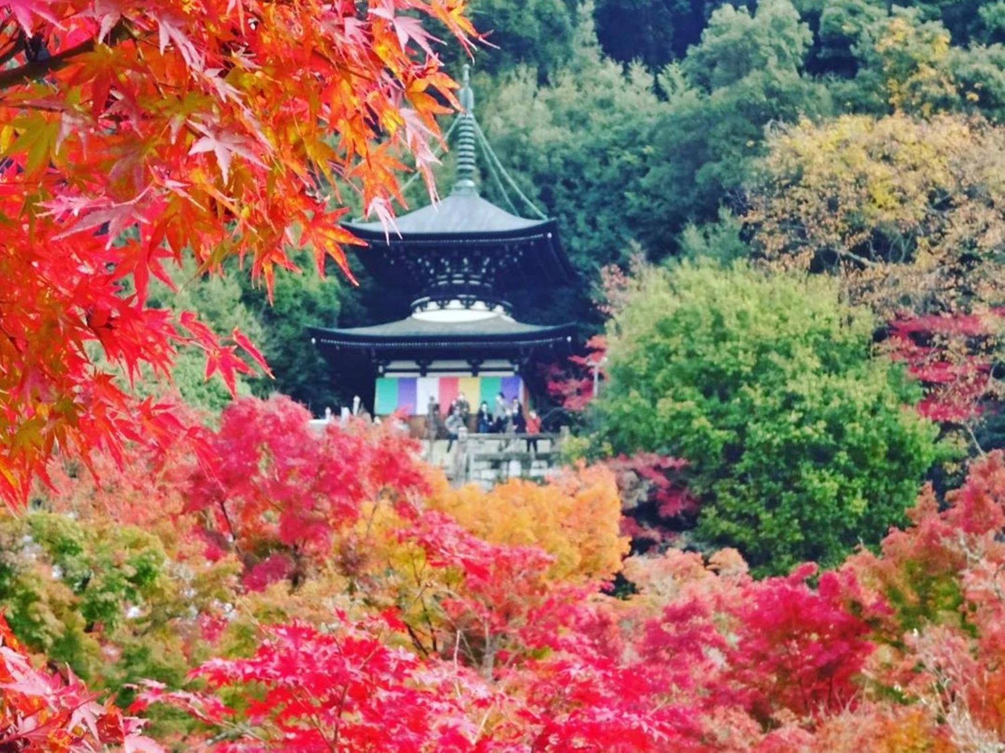 Yamamoto Ryokan Kyoto Exterior foto